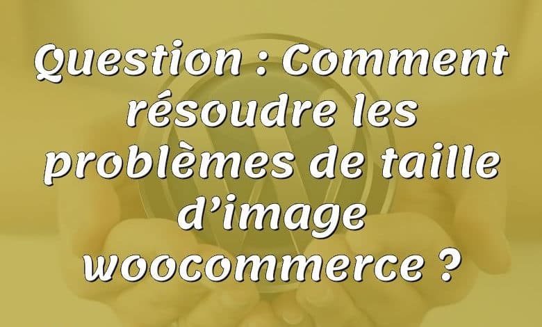 Question : Comment résoudre les problèmes de taille d’image woocommerce ?